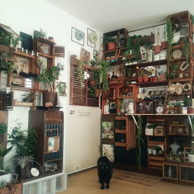 ugさんの実例写真
