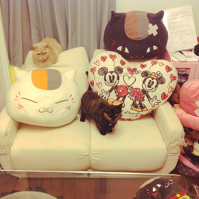 anさんの実例写真