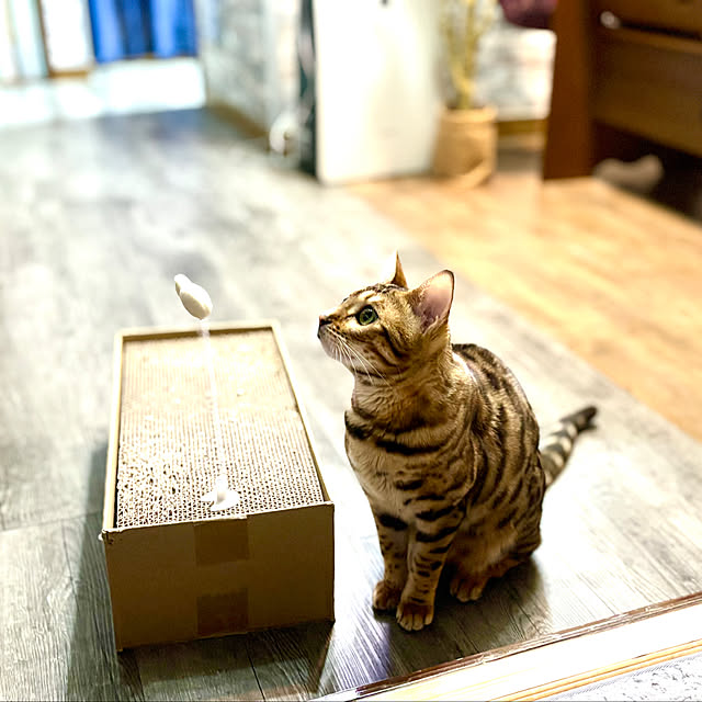 tututu0204さんの部屋