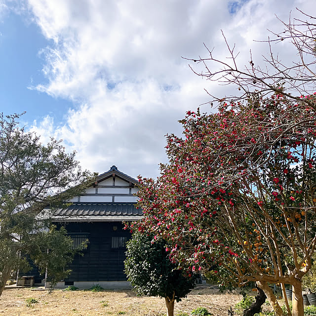 komemaruさんの実例写真