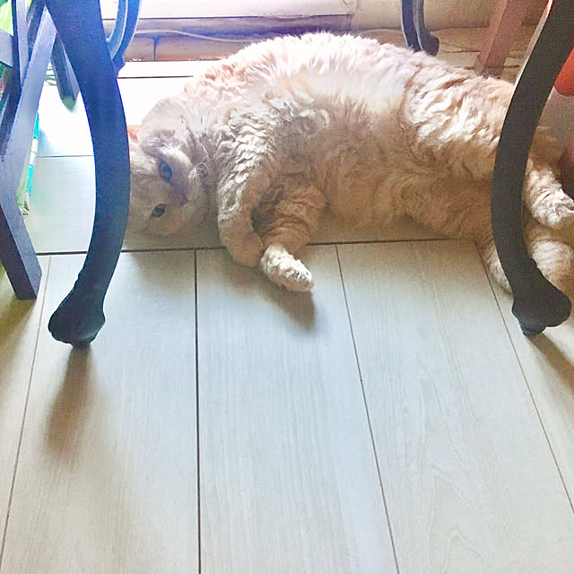 naokoさんの部屋
