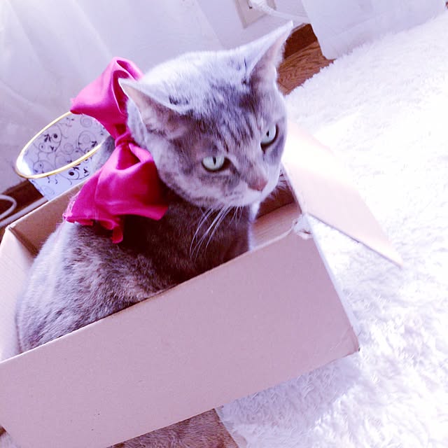 LIO_27さんの実例写真