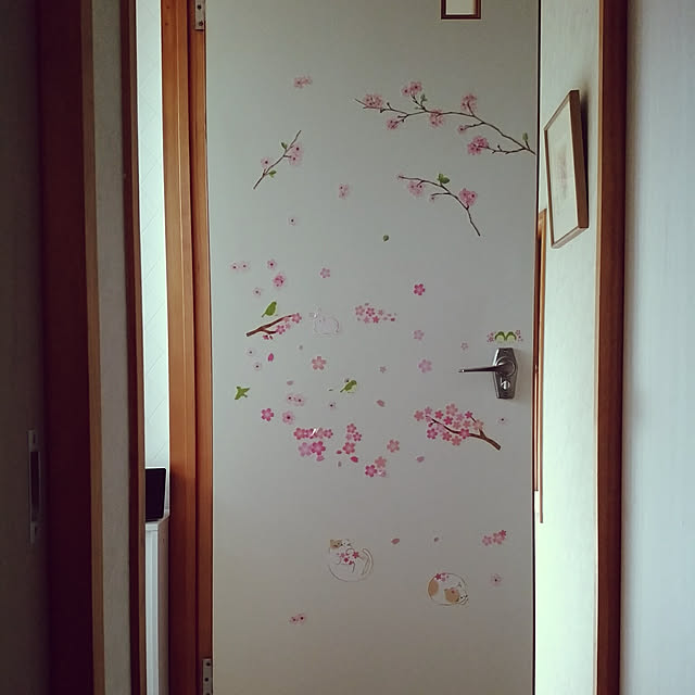 sacchiさんの実例写真