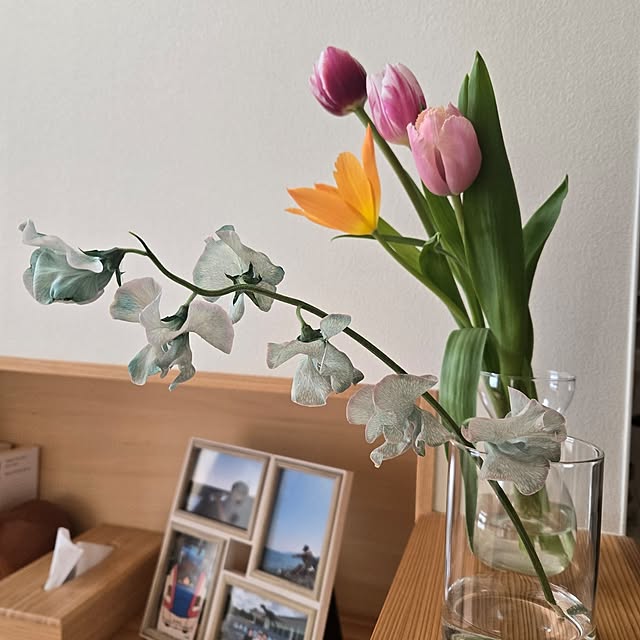 k-houseさんの実例写真