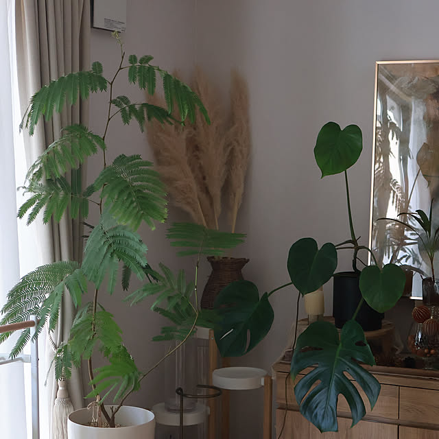 Summerさんの実例写真