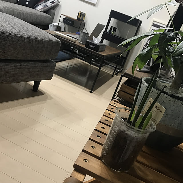 ソファ/緑/シンプルインテリア/観葉植物/イケアワゴン...などのインテリア実例 - 2019-12-03 01:04:55