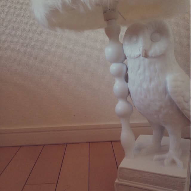 annaさんの実例写真