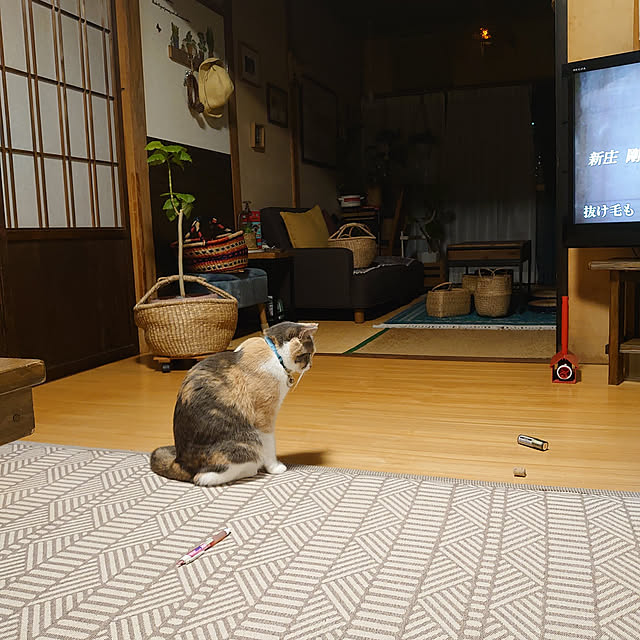 fukuさんの実例写真