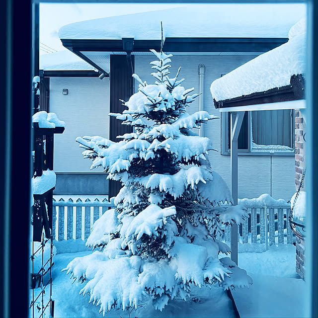 usagiさんの部屋