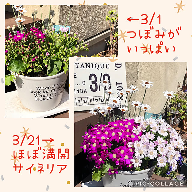 yukkoさんの部屋