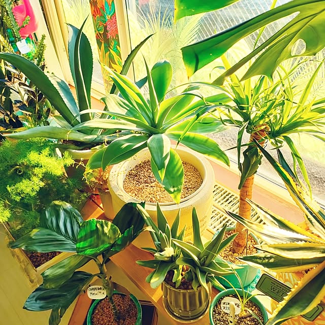 nacchanさんの部屋