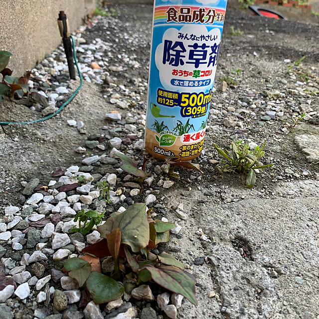 Aqettyさんの部屋