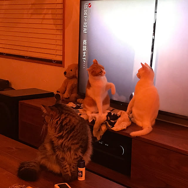 sakurasakuさんの実例写真