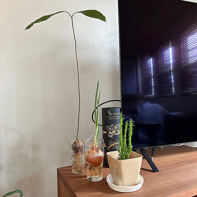 yurari.bonnさんの部屋