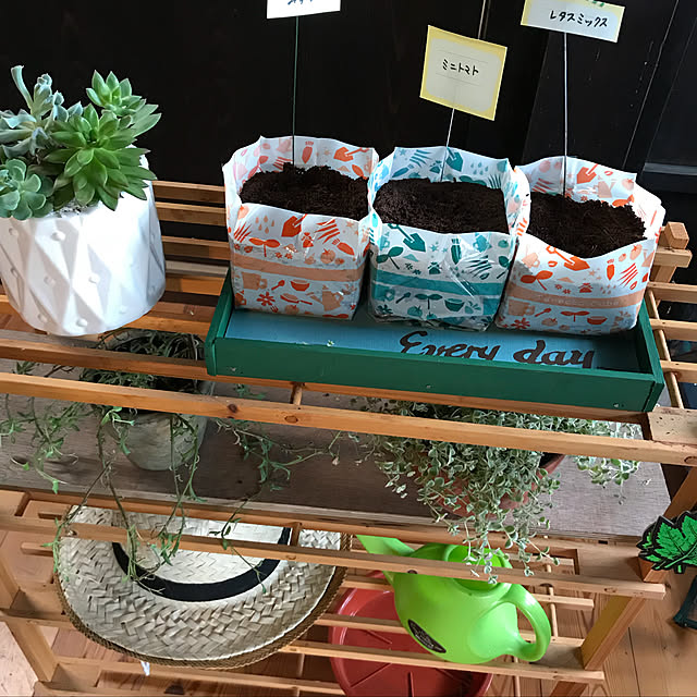 玄関/入り口/DIY/観葉植物/ハンドメイド/雑貨...などのインテリア実例 - 2018-06-11 22:33:20