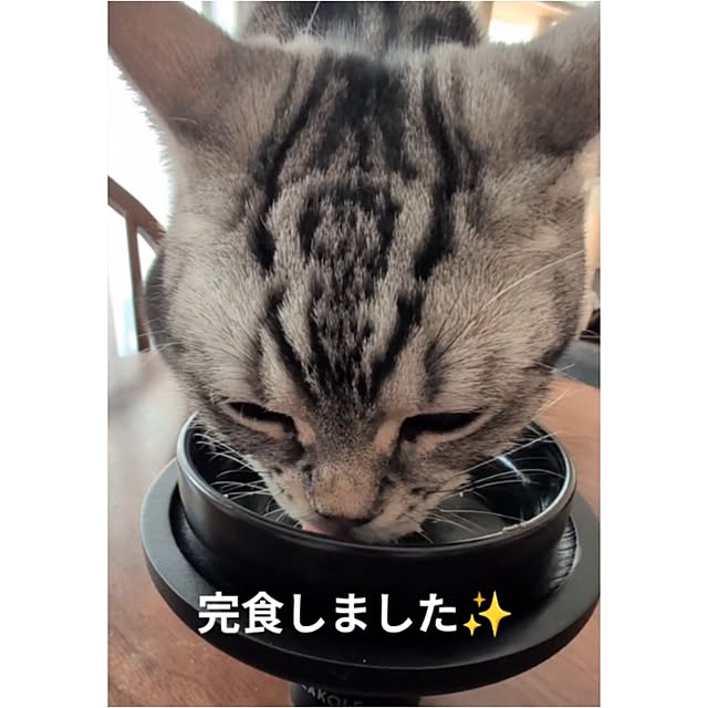 lovepeaceさんの部屋