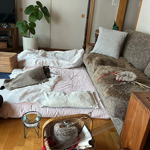 botanさんの実例写真