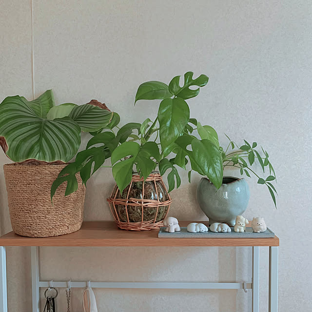nao.roomさんの部屋