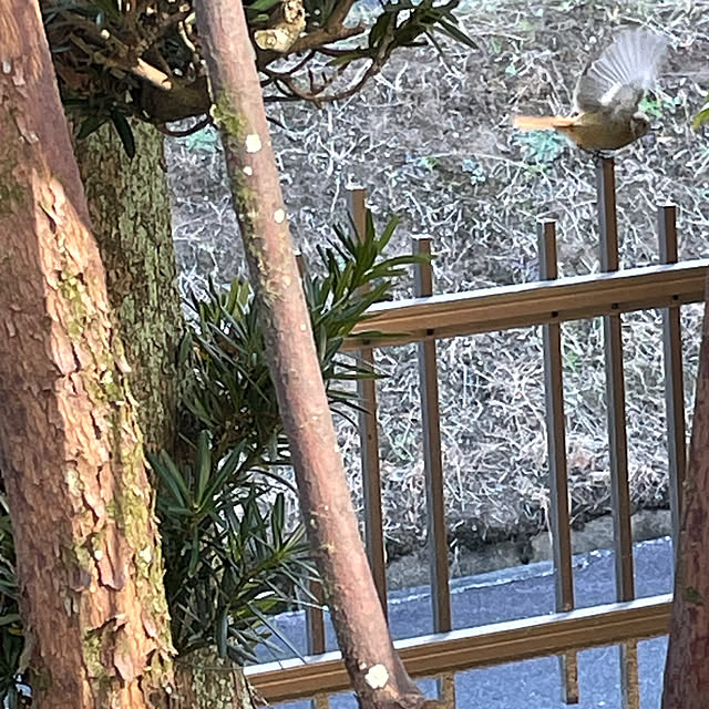 shin0719さんの実例写真