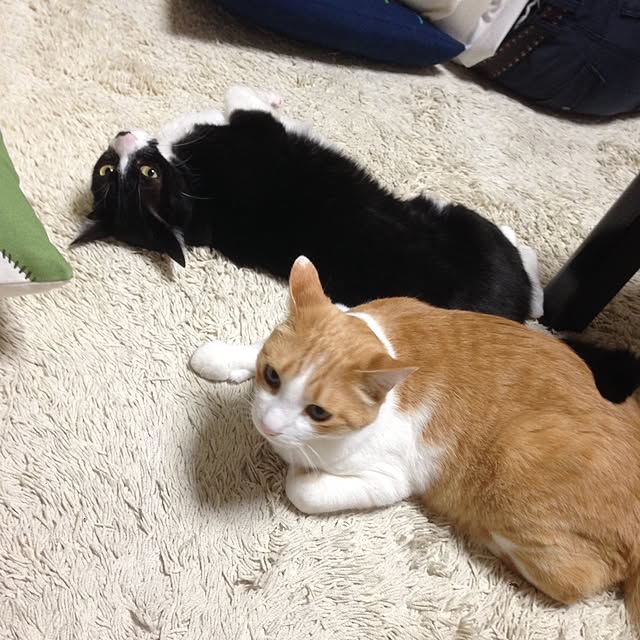 Kinanさんの実例写真
