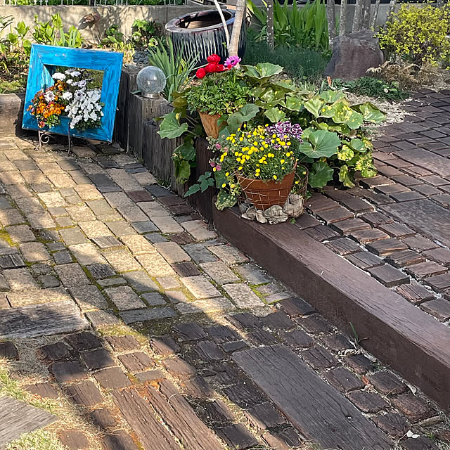 nobikoさんの部屋