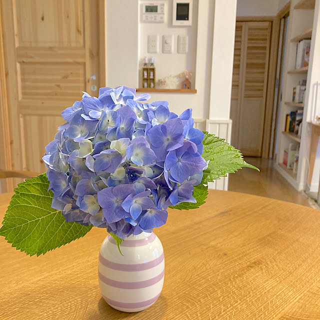 bestwishes.ryokoさんの部屋