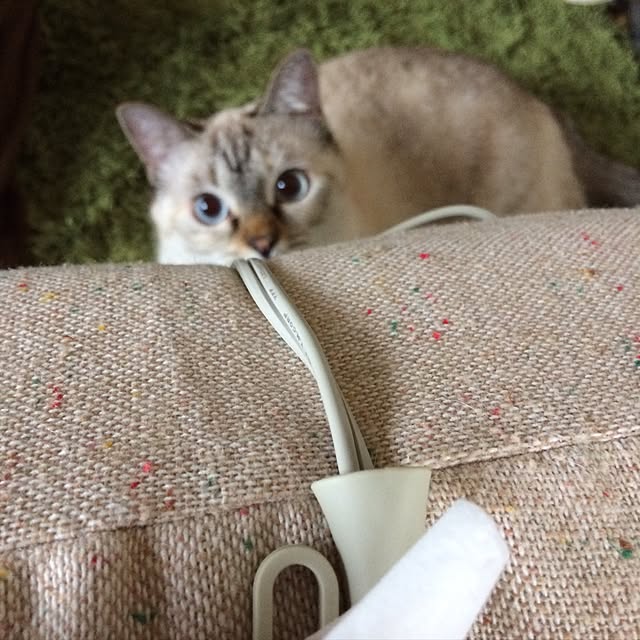 nachuさんの実例写真