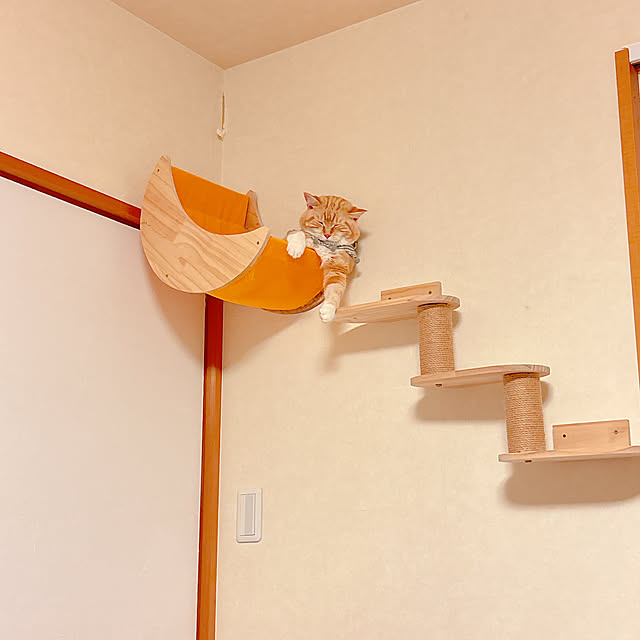 moolさんの部屋