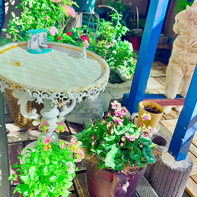 naokoさんの実例写真