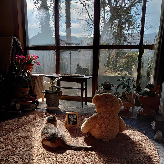 fukuさんの実例写真