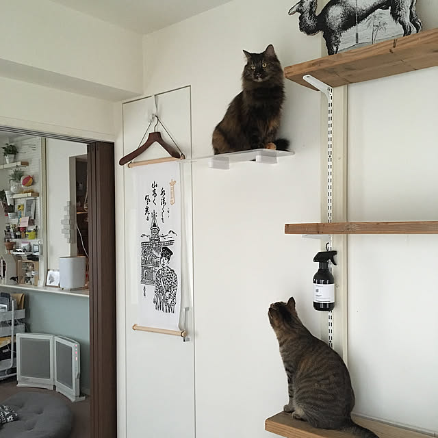 mikomaruさんの実例写真