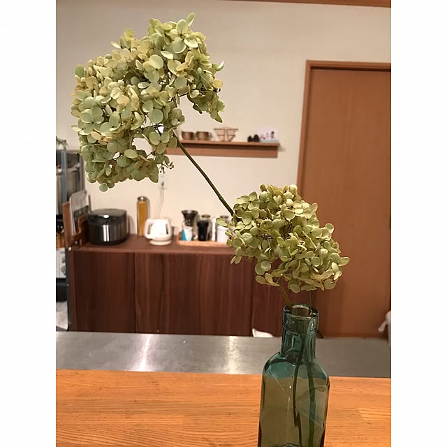 noriさんの実例写真