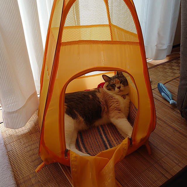 fukuさんの実例写真
