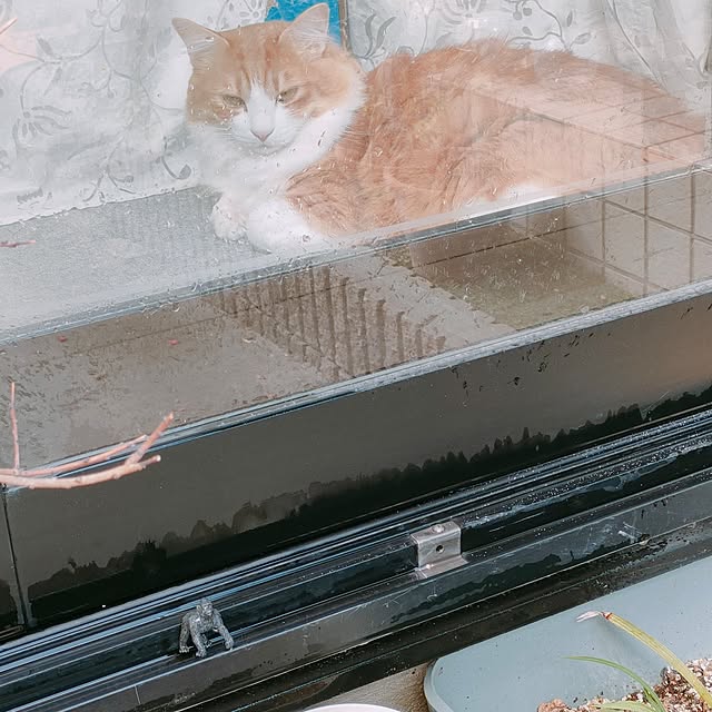 mori_6_12さんの部屋