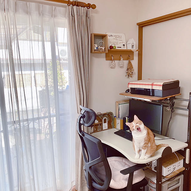 cocomaroさんの実例写真