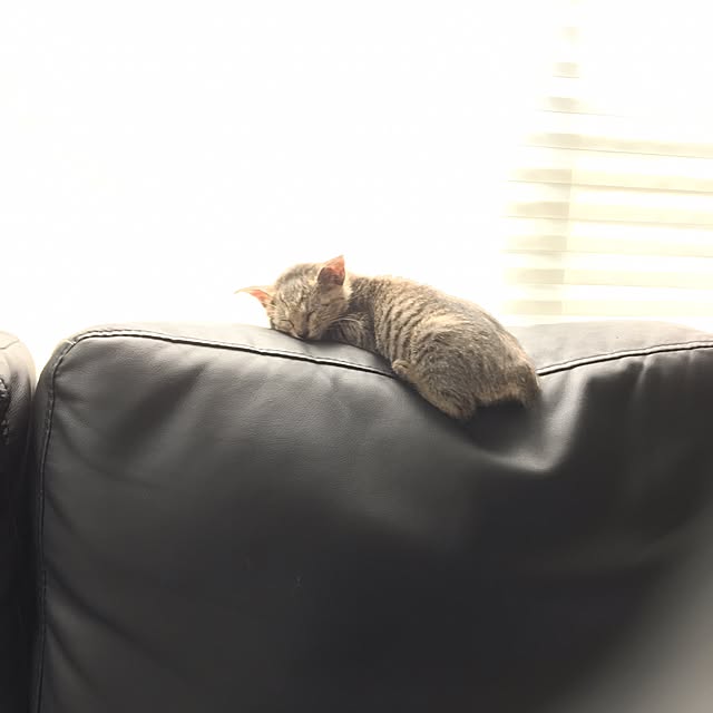 yumiさんの実例写真