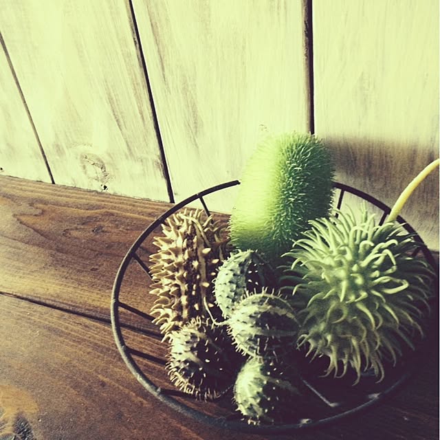 8717さんの実例写真