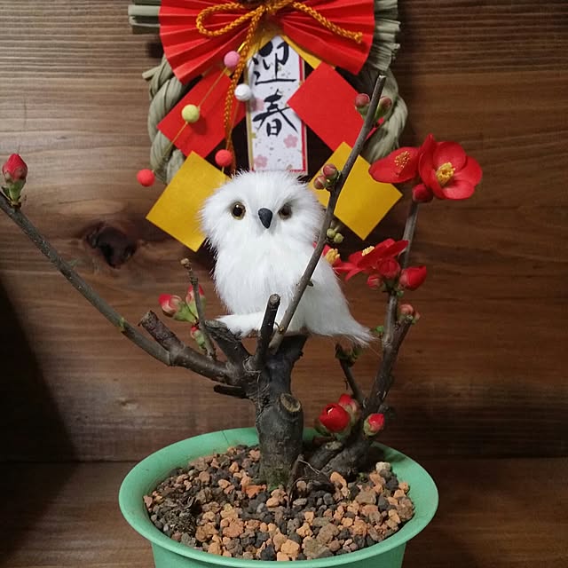 karinさんの実例写真