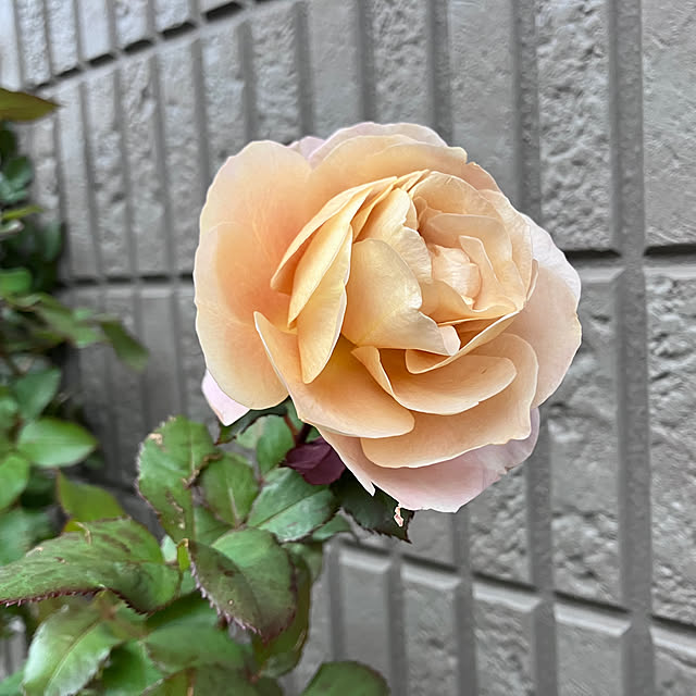 tinkunさんの部屋