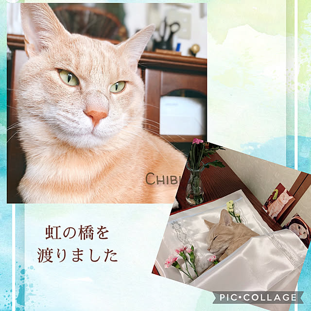 simayaさんの実例写真