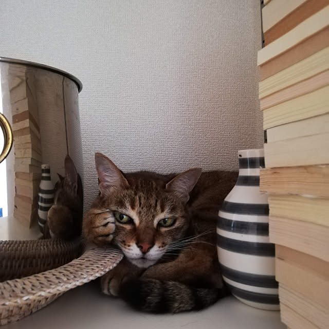 nahocさんの実例写真