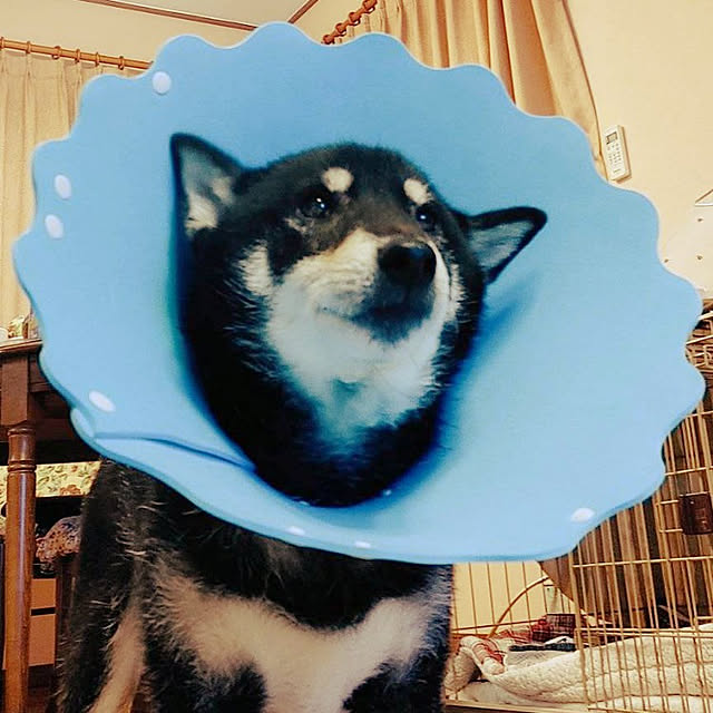 tsutawarimasuさんの実例写真
