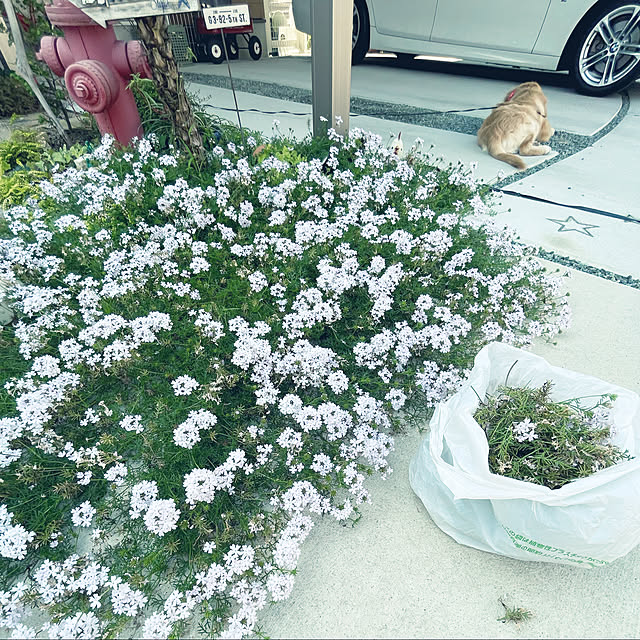 marinkoさんの実例写真