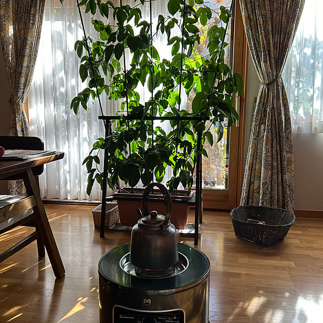 botanさんの部屋