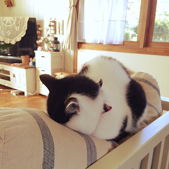 ktysさんの実例写真