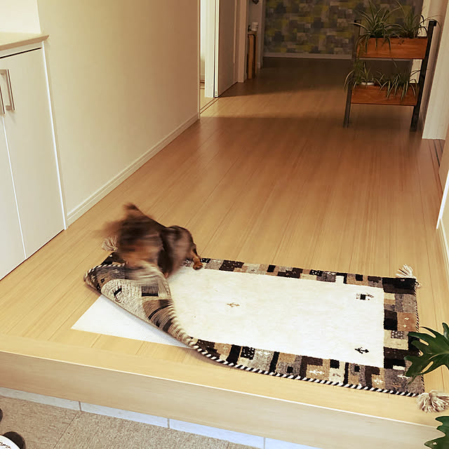 cocoaさんの実例写真