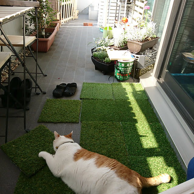 porinさんの実例写真