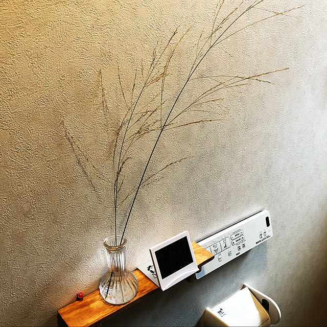 ranさんの実例写真