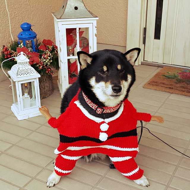 tsutawarimasuさんの実例写真