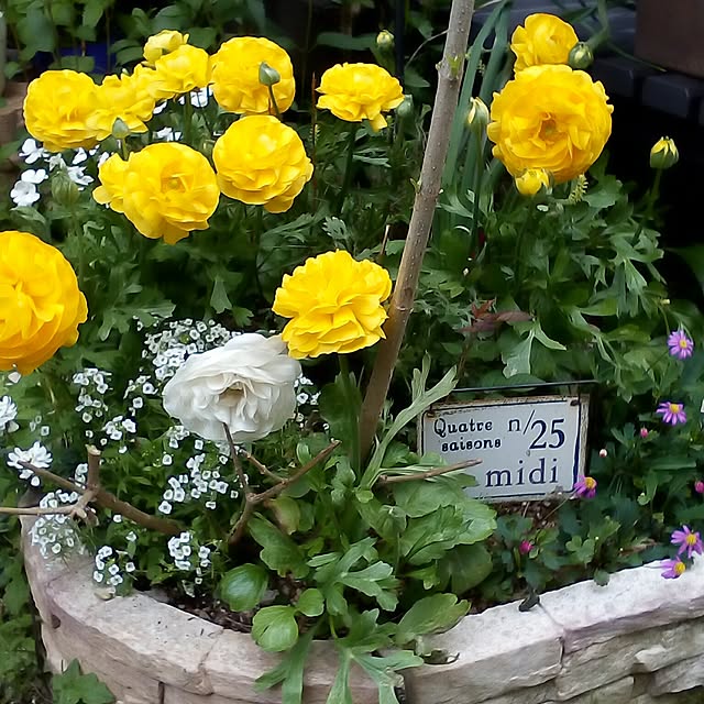 mariagardenさんの実例写真